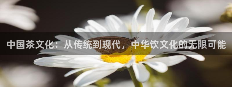 摩登5张7O667