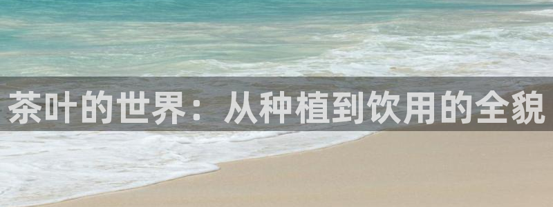 摩登7上