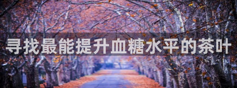 摩登7d2