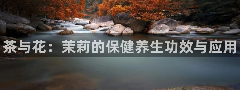 国际版摩登世界7