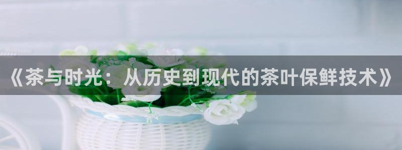 摩登7下载地址