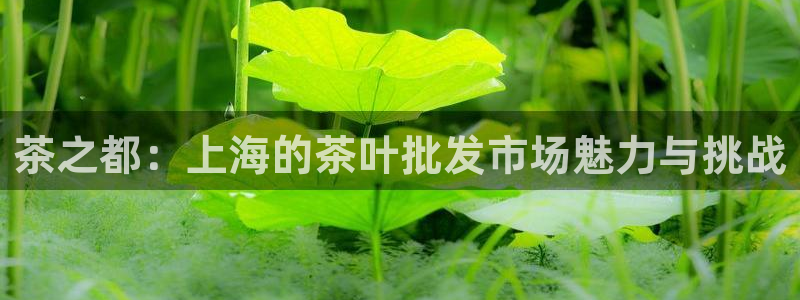 摩登7地址