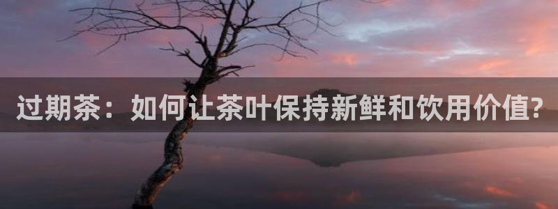 摩登3前7O667