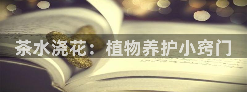 摩登7主管qq