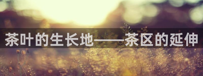 摩登7后3299O7
