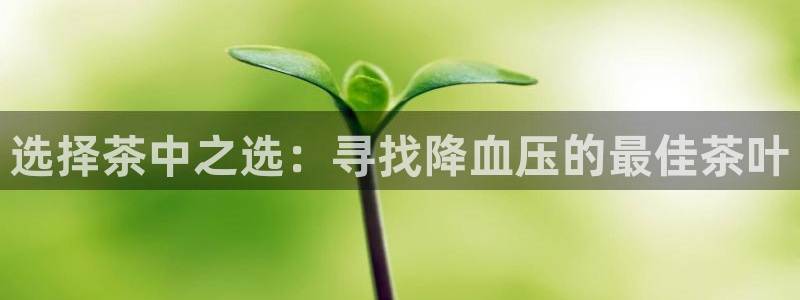 摩登6天7O667