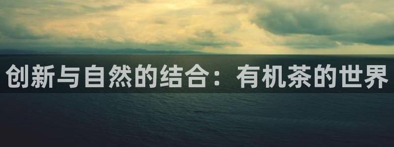摩登7平台app