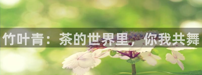 摩登7 1 1