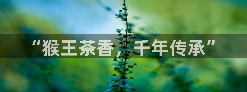 摩登7经3299O7