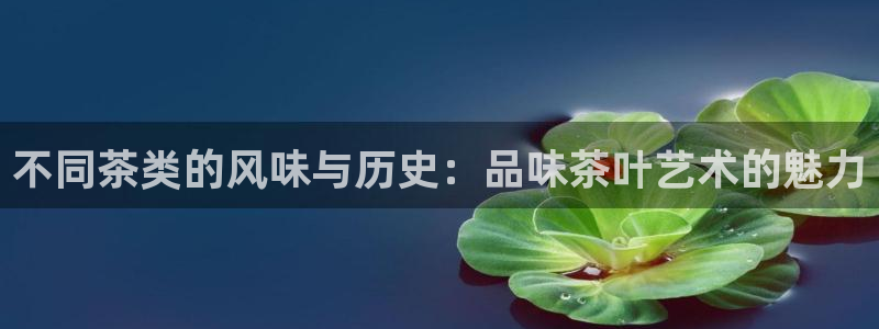 摩登4右7O667