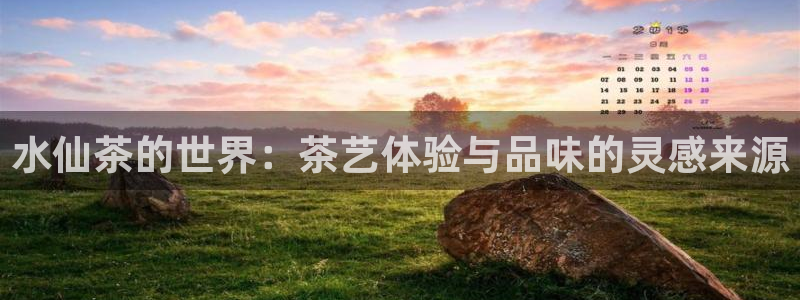 摩登7天3299O7