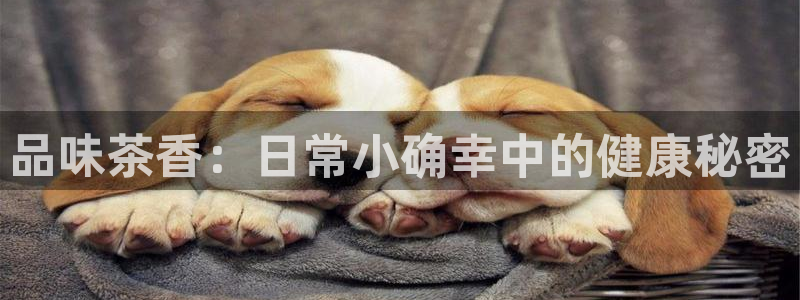 摩登7升