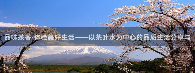 摩登系列摩登7