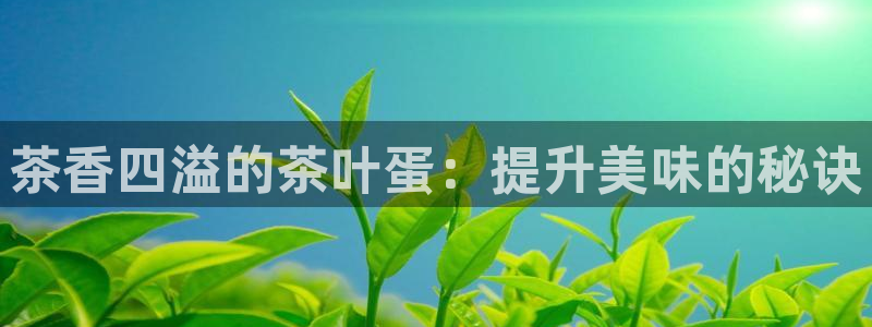 摩登7平台信誉