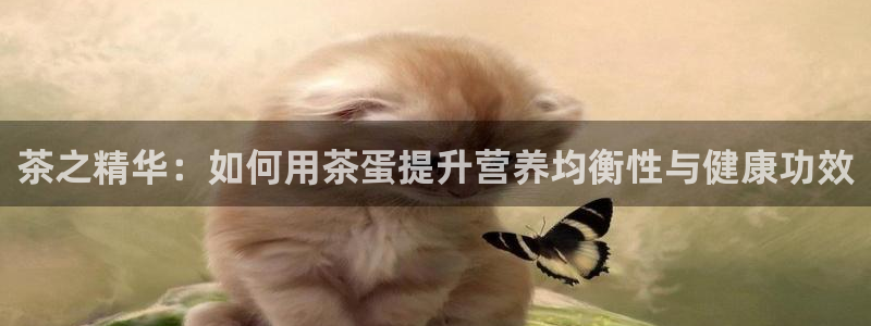 摩登7网彩正规吗