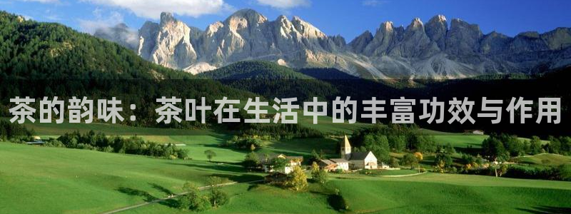 摩登招商尢首选金手指7