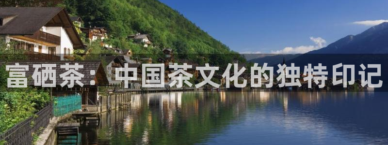 摩登7来宾