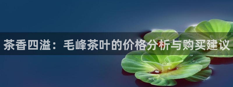 摩登7娱乐平台4