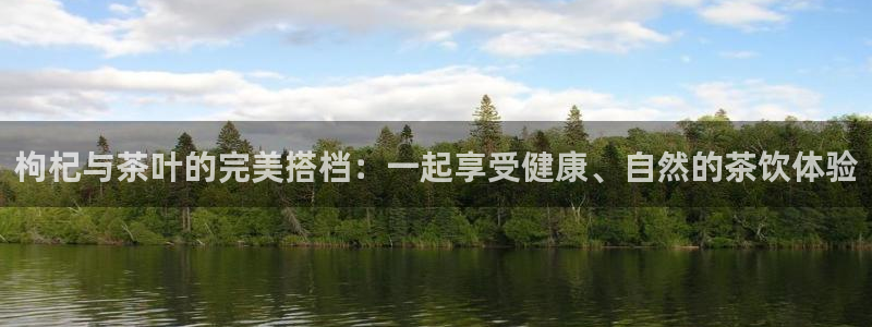 摩登7登陆
