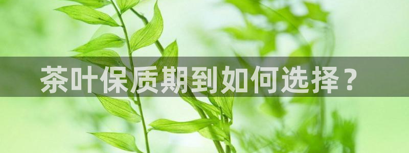 摩登7代理