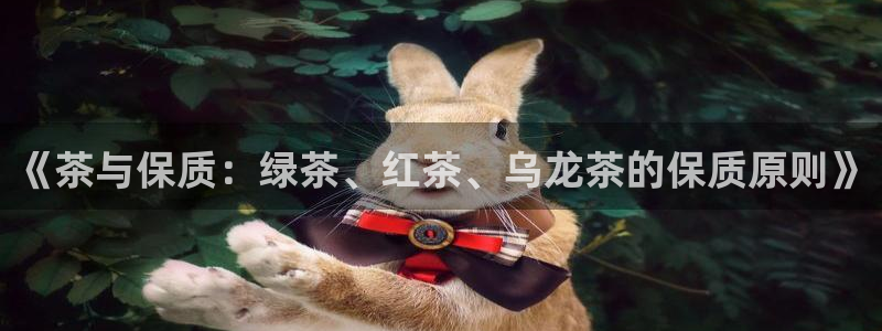 摩登3周这7O667