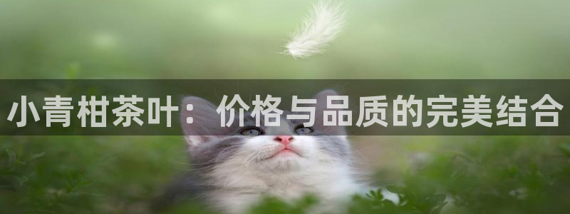 摩登3下7O667
