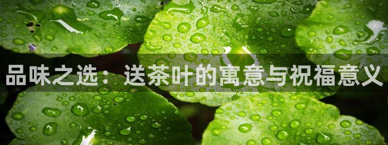 摩登7去3299O7