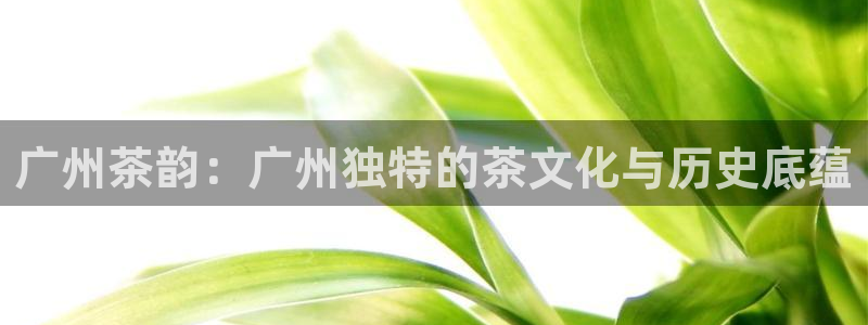 摩登7月7O667