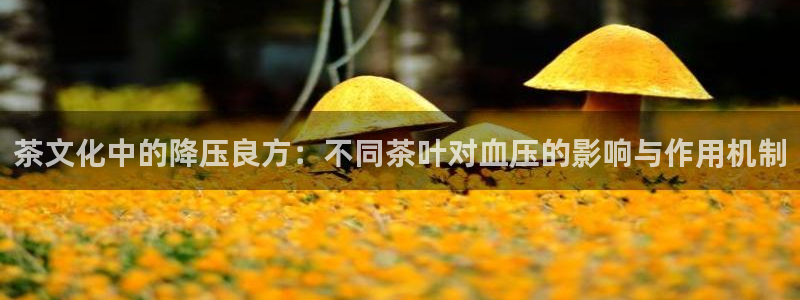 摩登7风3299O7