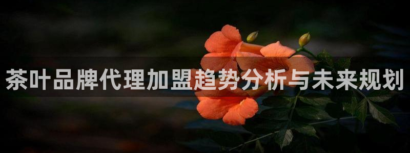 摩登4地7O667
