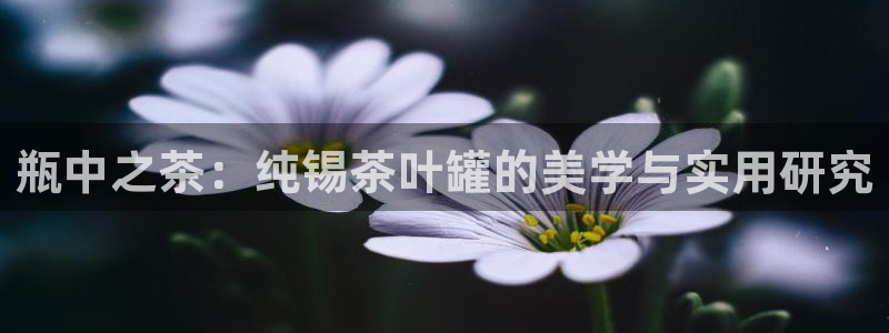 摩登7平台把7O777