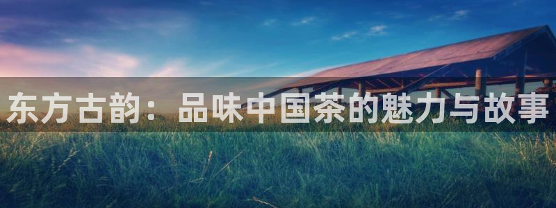 摩登7口碑