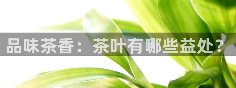 摩登7主管qq
