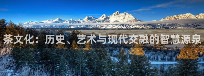摩登7招商主管