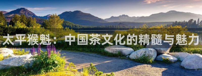 摩登7右7O667
