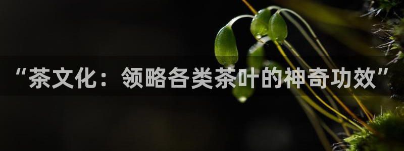 摩登主管7285 7好