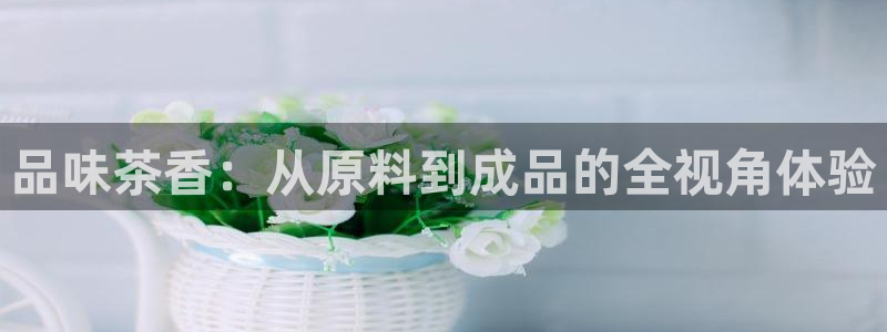 摩登18 7