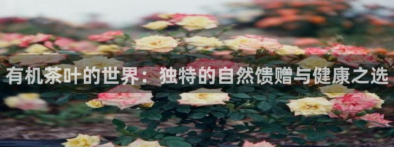 摩登7 1 1