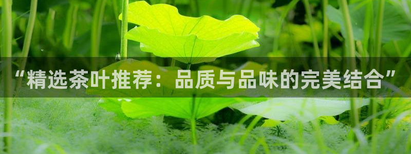 摩登7地7O667