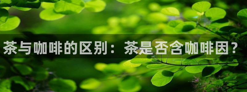 摩登3冯7O667