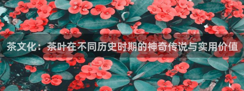 lgg7摩登