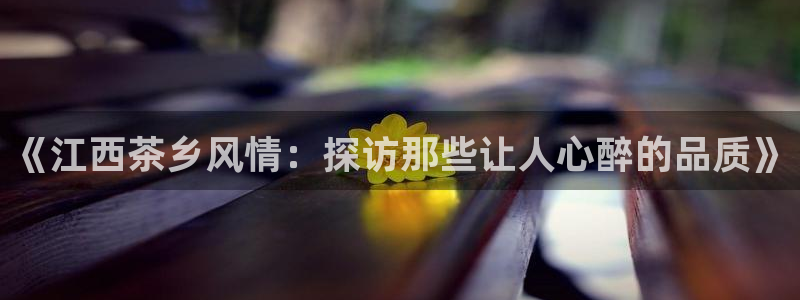 摩登7前7O667