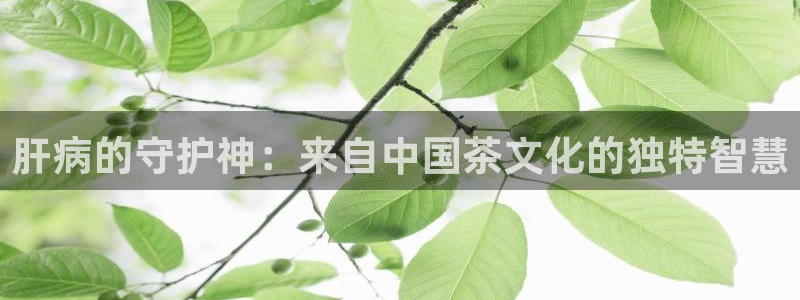 摩登7公司排名