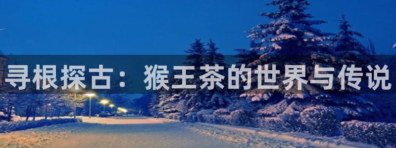 摩登7泽333OO