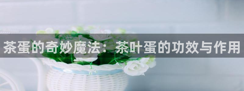 摩登精品7