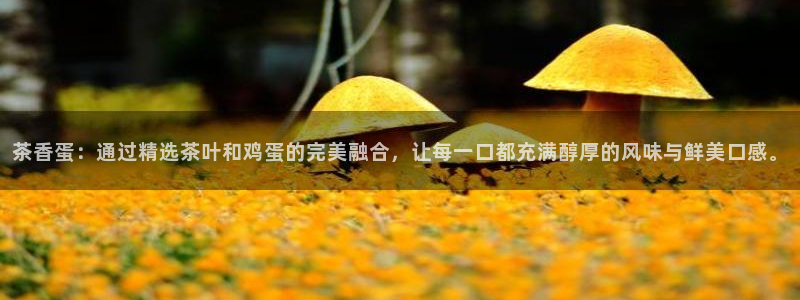 摩登7挂机