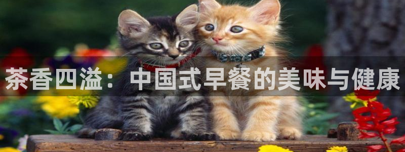 摩登7右