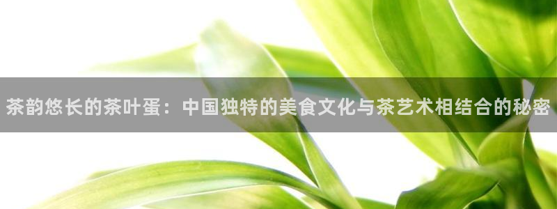 摩登3褚7O667