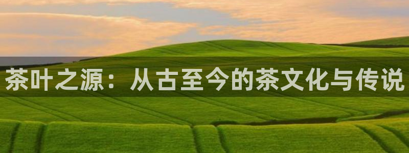 摩登7月3299O7