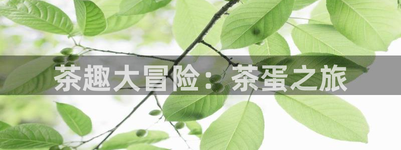 摩登7平台382223